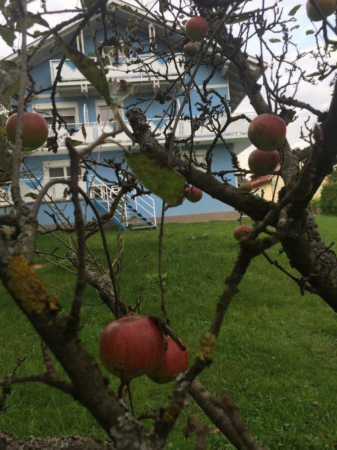 Pension Lipusch Sankt Veit im Jauntal Extérieur photo